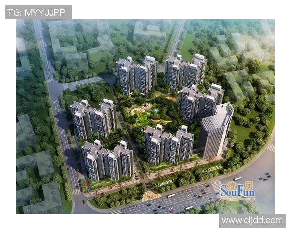 广州排球队阵地战分析:优劣势及未来发展方向探讨