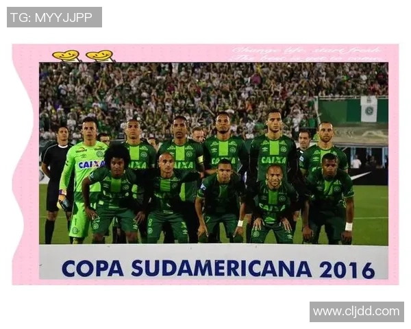 足球明星不幸遭遇飞机失事悲剧全球球迷哀悼其英勇一生